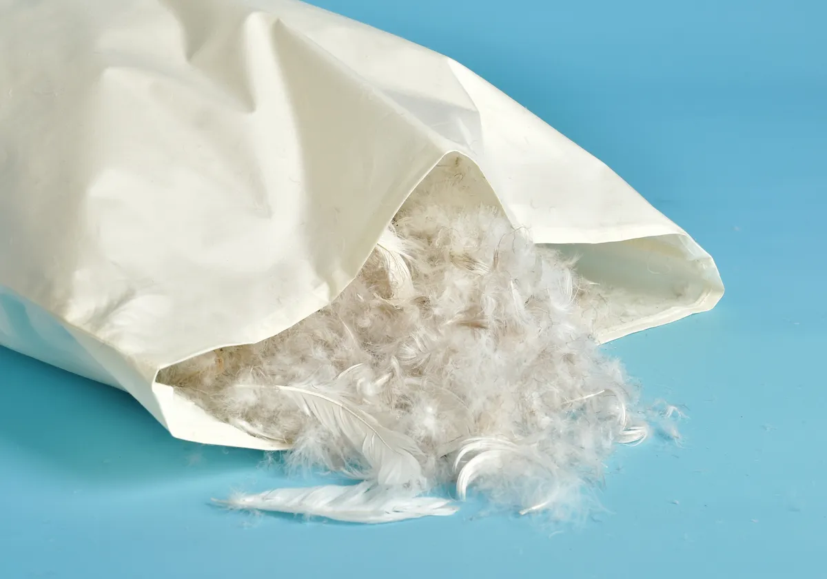 Márton-napi hiedelmek: Párnába töltött libatoll