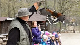 Ez a top 5 legjobb vadaspark, ha családi programra vágysz