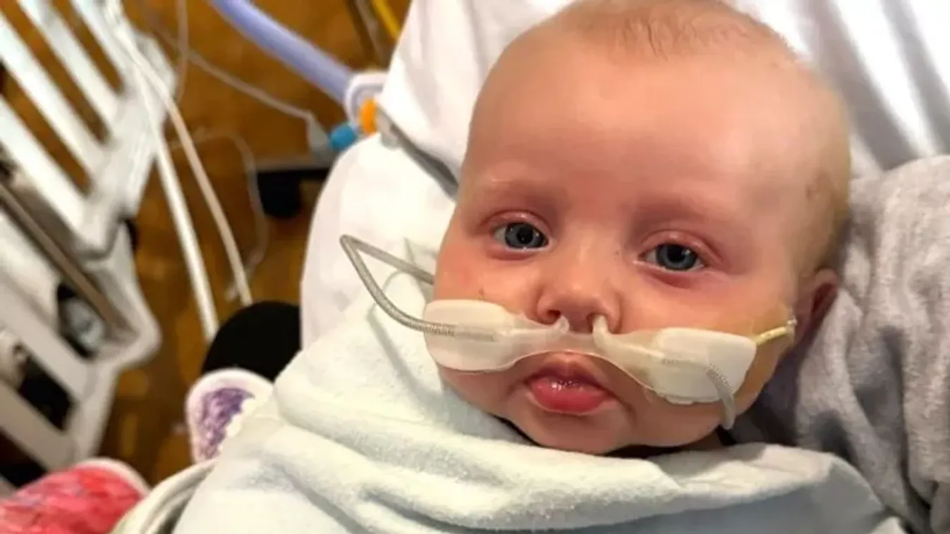 „Az összes többi meghalt” – sokkoló diagnózist kapott az édesanya: kisbabája egy halálos betegség utolsó túlélője lehet