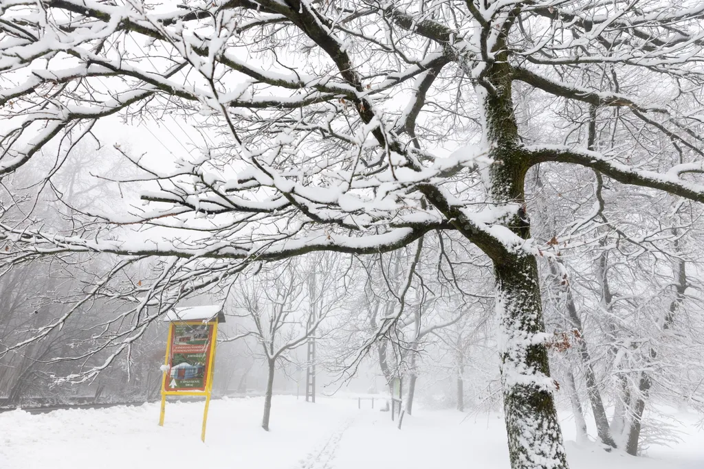 hó, havazás, november