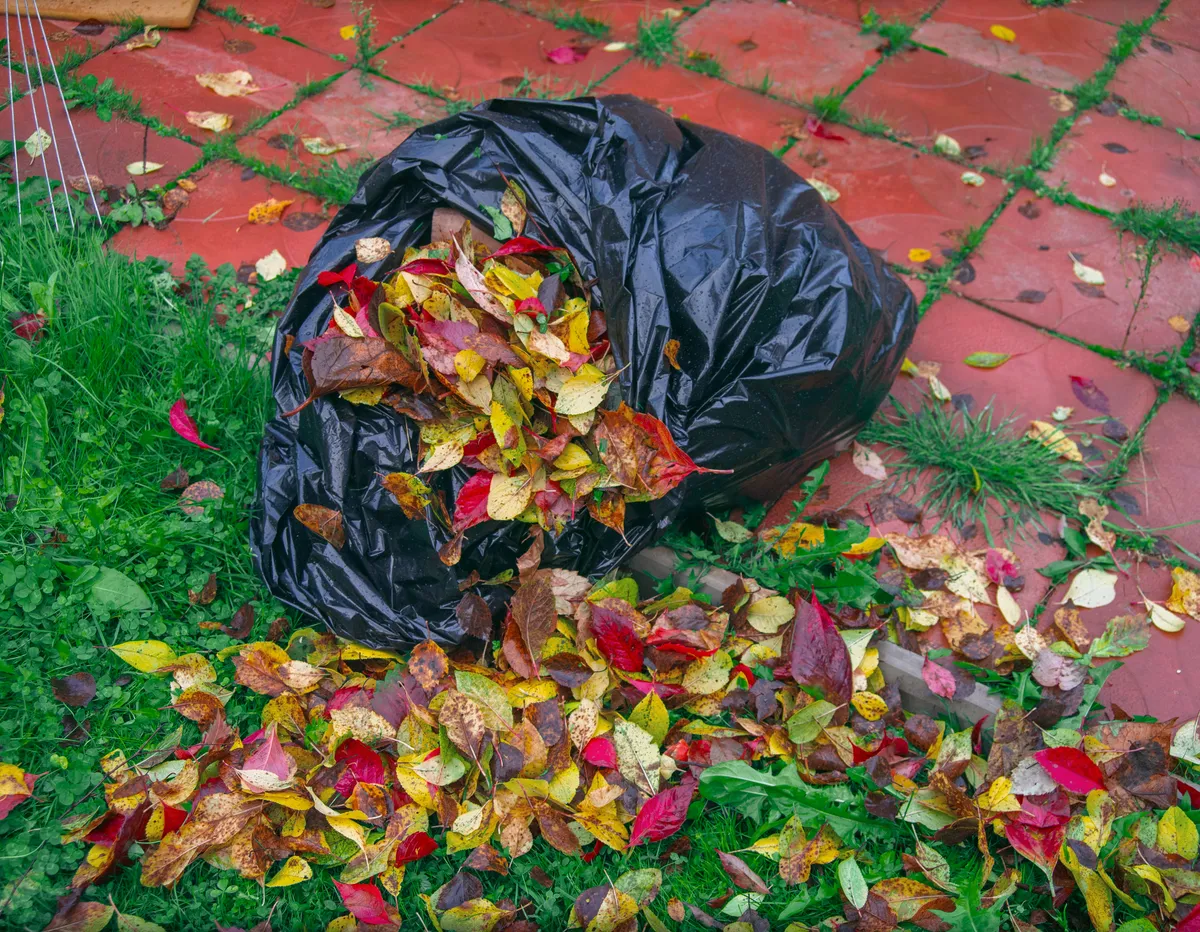 Zsákba gyűjtött avar