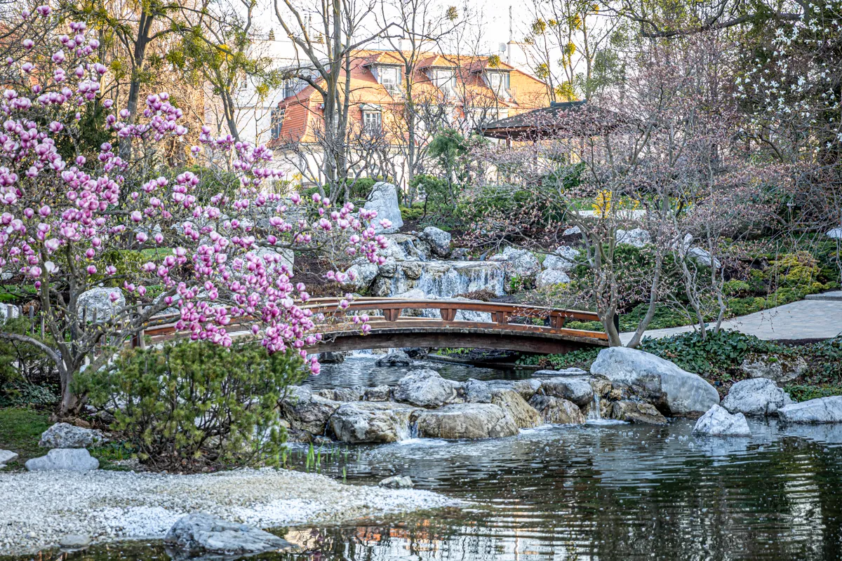 Setagaya Park, Bécs