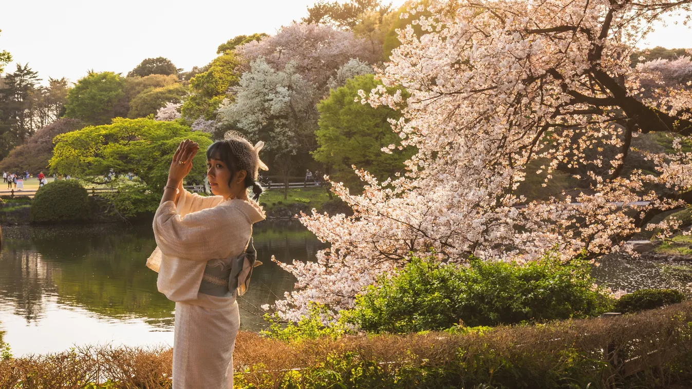 Ezek a tokiói japánkertek a leghangulatosabb úti célok a japán fővárosban.