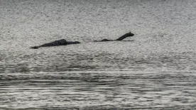 A legrosszabbra készülnek: meglepő tervet dolgoztak ki a Loch Ness-i szörny felbukkanására