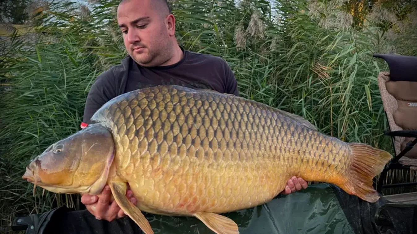 Megszólalt a horgász, aki kifogta a Ráckevei-Duna legnagyobb pontyát: Olyan érzésem volt, mintha egy zsákot húznék