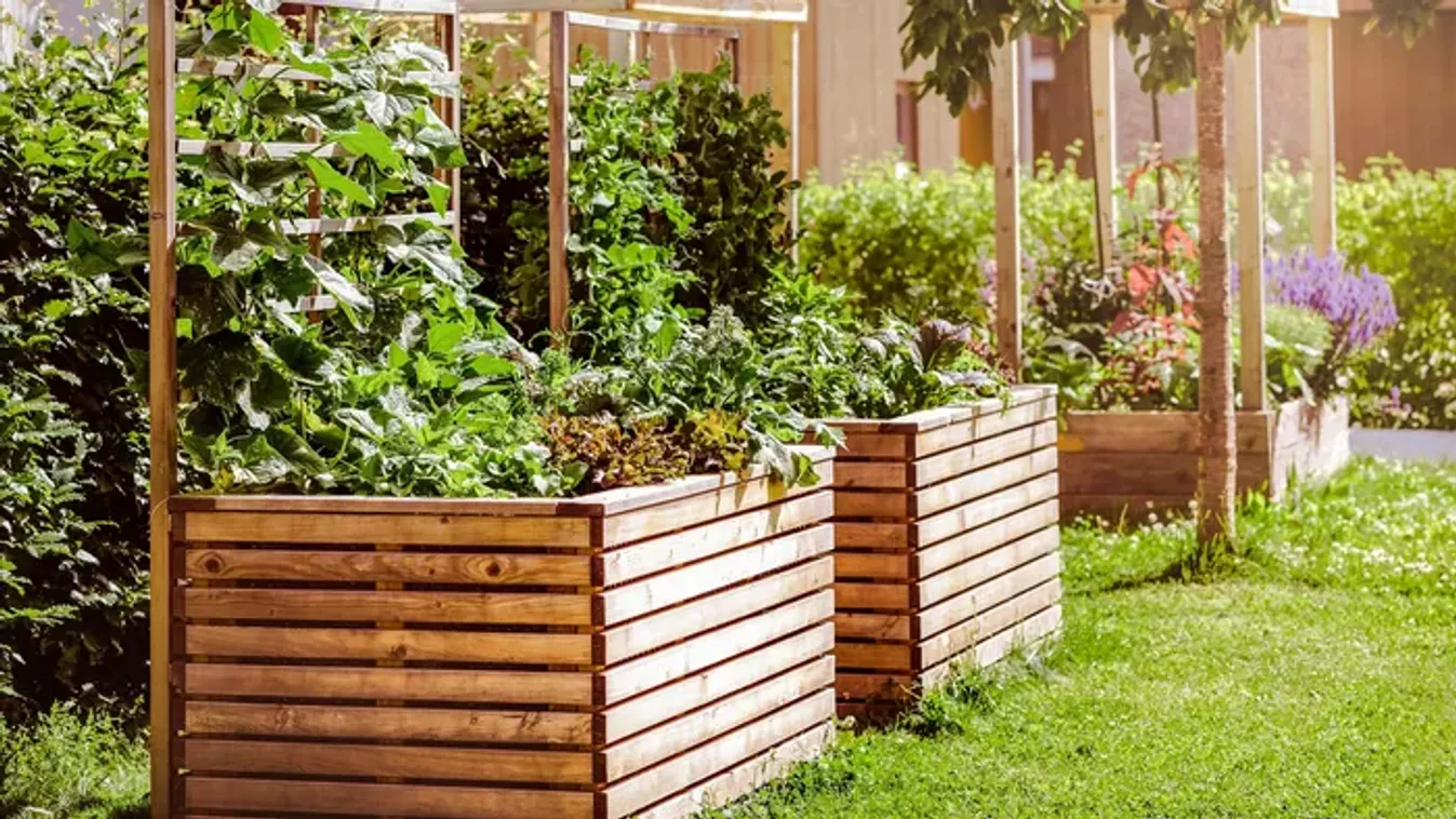 Így óvhatjuk meg a magaságyást