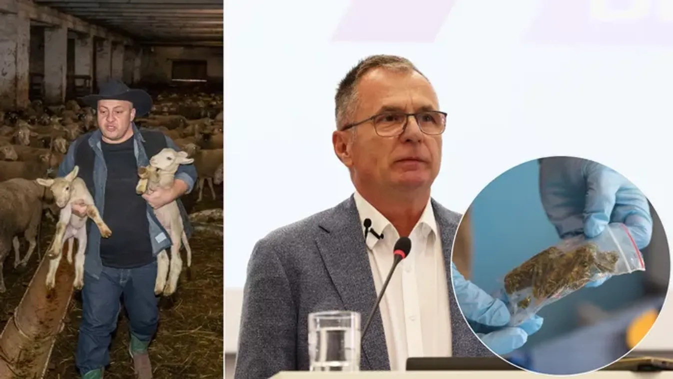 Drogtörvény szigorítás: Gáspár Zsolti már látja a pozitív változást