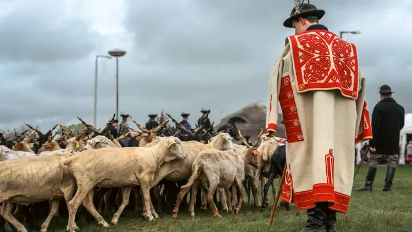 A Hortobágy titkai – Egy varázslatos hely, ahol a csillagos ég ősi legendákról mesél
