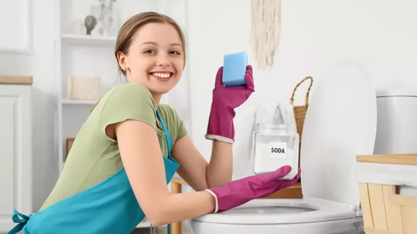 Sokkoltak a szakértők: ennyiszer kell valójában WC-takarítást végezni