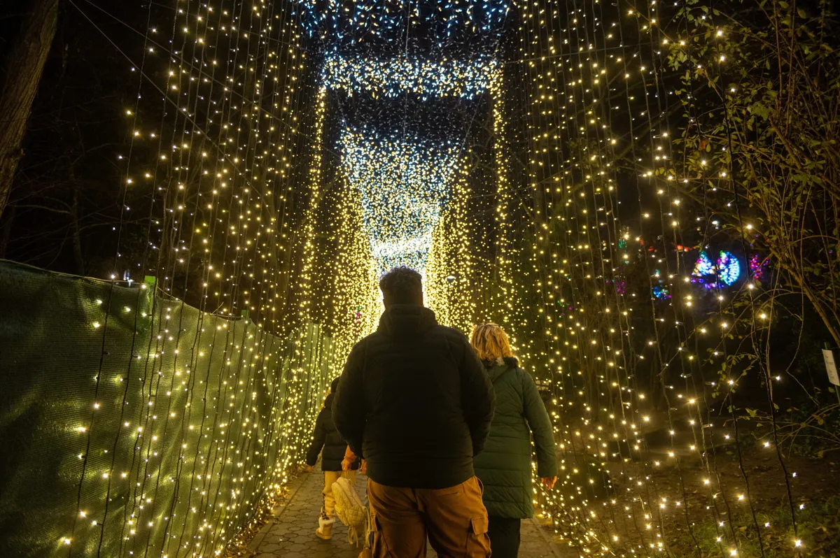 a Füvészkertben is nyílt egy fővárosi fénypark