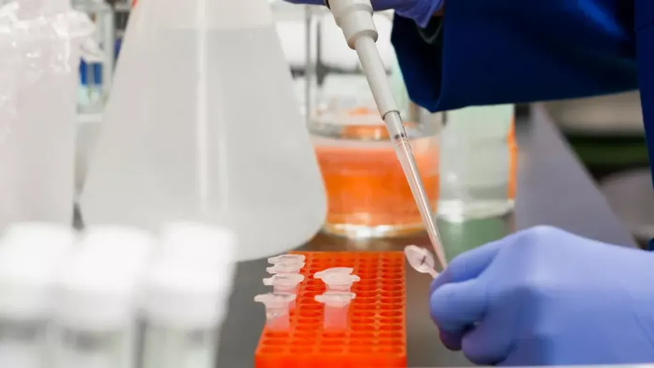 Egyre rejtélyesebb a több száz áldozatot követelő ételmérgezés - kiderült, hogy Budapest mellett Veresegyházán is rengeteg a beteg