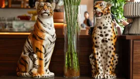 Szegénységet hoznak ezek a tárgyak: a feng shui szerint meg kell szabadulni tőlük