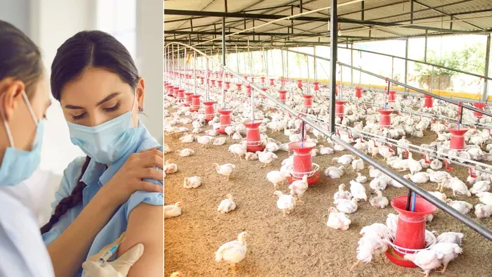 Brutális vírus jöhet a Covid-19 után