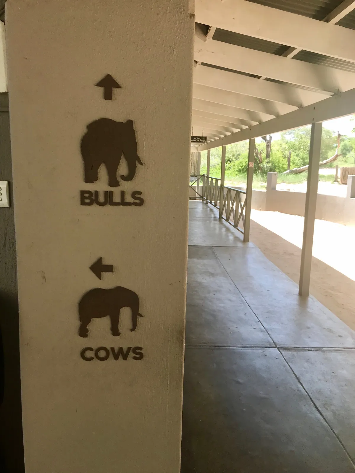 A dél-afrikai Krügr Nemzeti Park toalettje