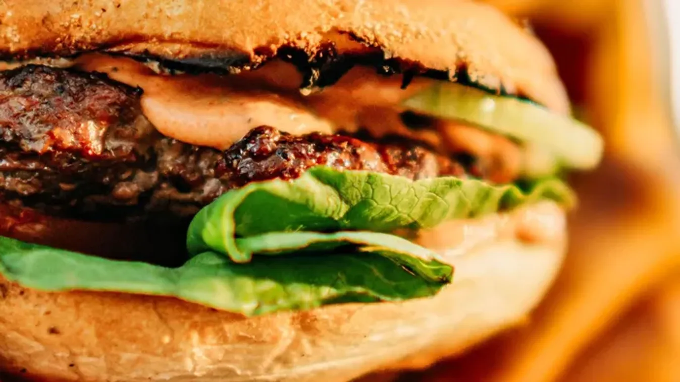 Hamburgert evett, órákkal később meghalt a pilóta