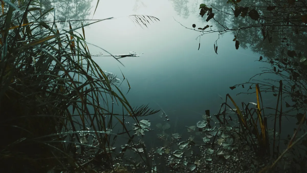 Egy kolozsvári tóból került elő a holttest