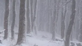 Hólepel borult az országra: ez még csak a kezdet - videók
