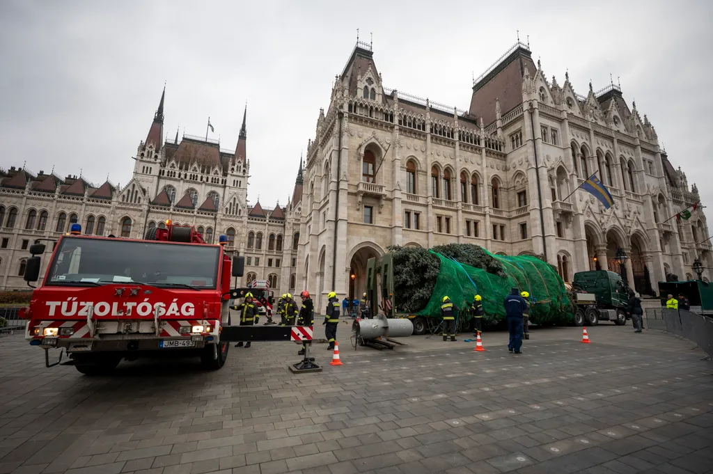 ország karácsonyfájának felállítása
2025_11_24