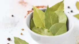 Meglepő, mit tud a babérlevél: 4 trükk, amitől sokkal jobb lesz a közérzeted