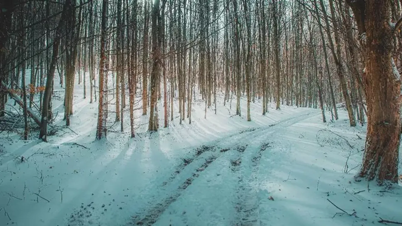 Ezt látni kell: Gyönyörű hótakaró borítja a Bükköt – Galéria