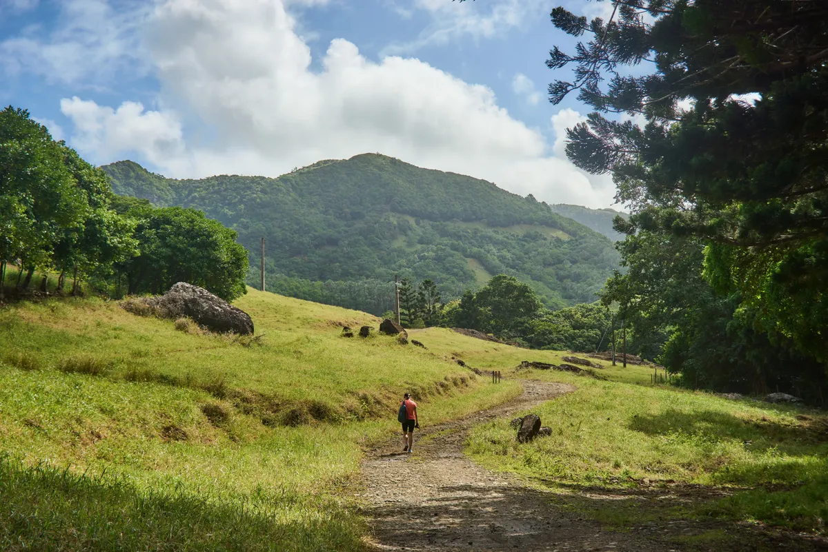 a szent Márton úton is hasonlóan túráznak a zarándokok