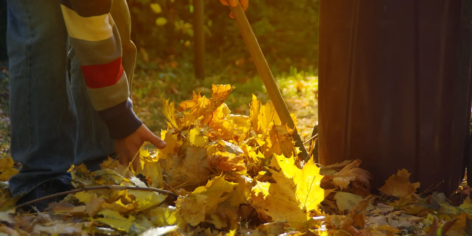 Őszi avar: így lesz a lehullott lombból kerti tápanyag