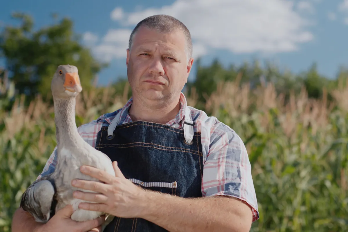 Farmer libával a Márton-napi programok apropóján