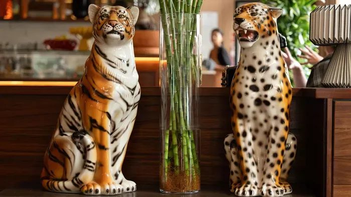 Szegénységet hoznak ezek a tárgyak a feng shui szerint