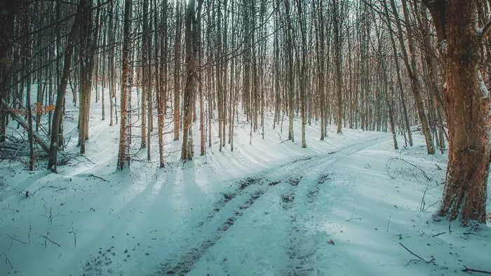 Gyönyörű hótakaró borítja a Bükköt – Galéria
