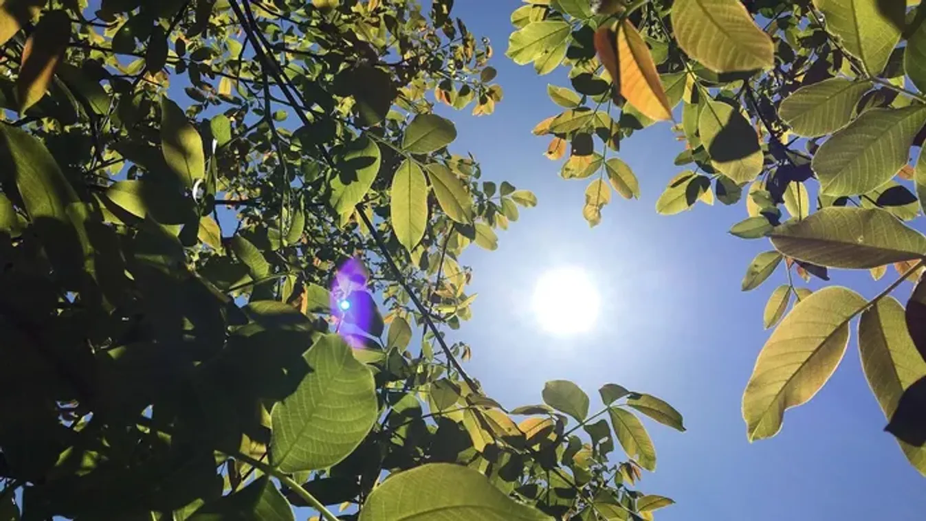 Ezt nem láttuk jönni: kiderült, milyen idő lesz halottak napján