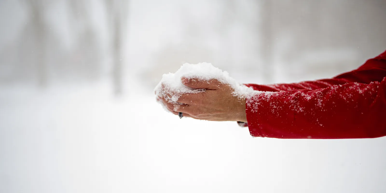 Akár már holnap megérkezhet az idei első havazás