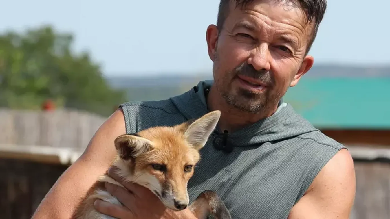 Az állatok fejedelme: Norbert idén több mint 160 jószágot mentett meg