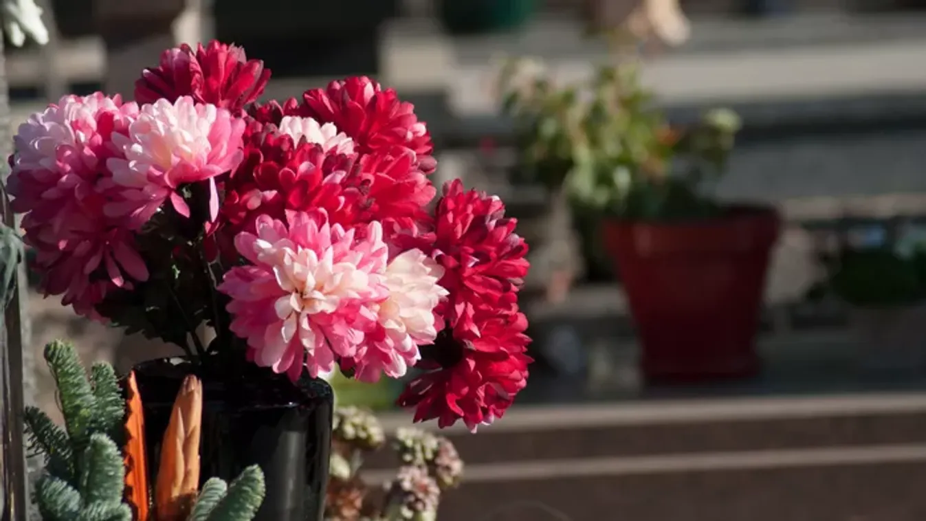 Mit vigyünk a sírkertbe halottak napján? Fókuszban a temetői virágok