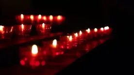 Tragikus hír érkezett: véget ért a keresés, megtalálták a Bükkben eltűnt asszony holttestét