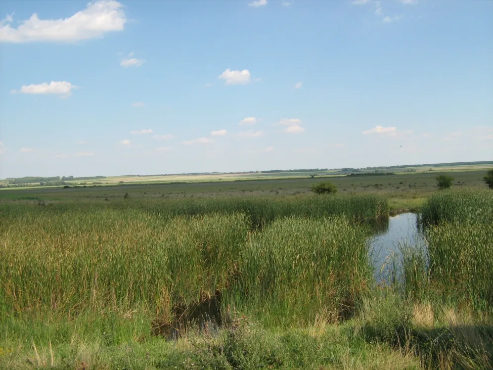 A gánti csíkvarsai láprét