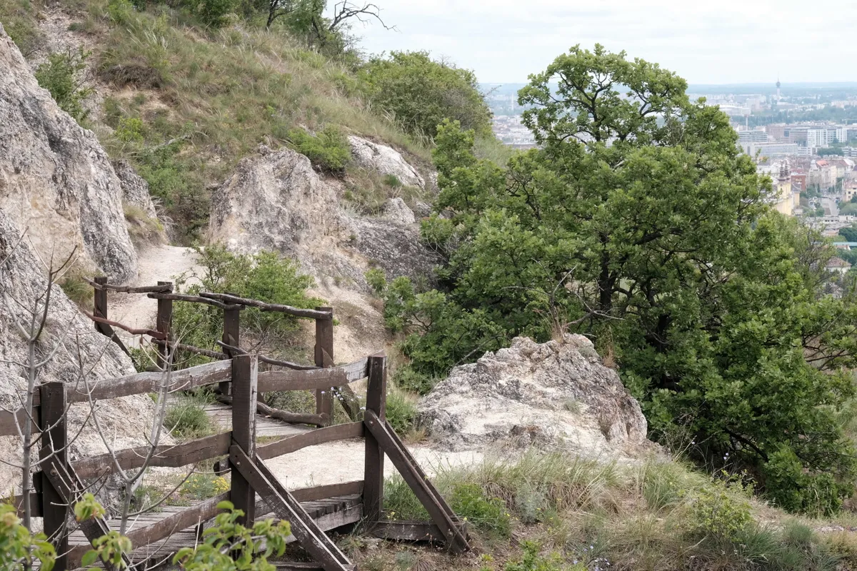 Sas-hegyi tanösvény 