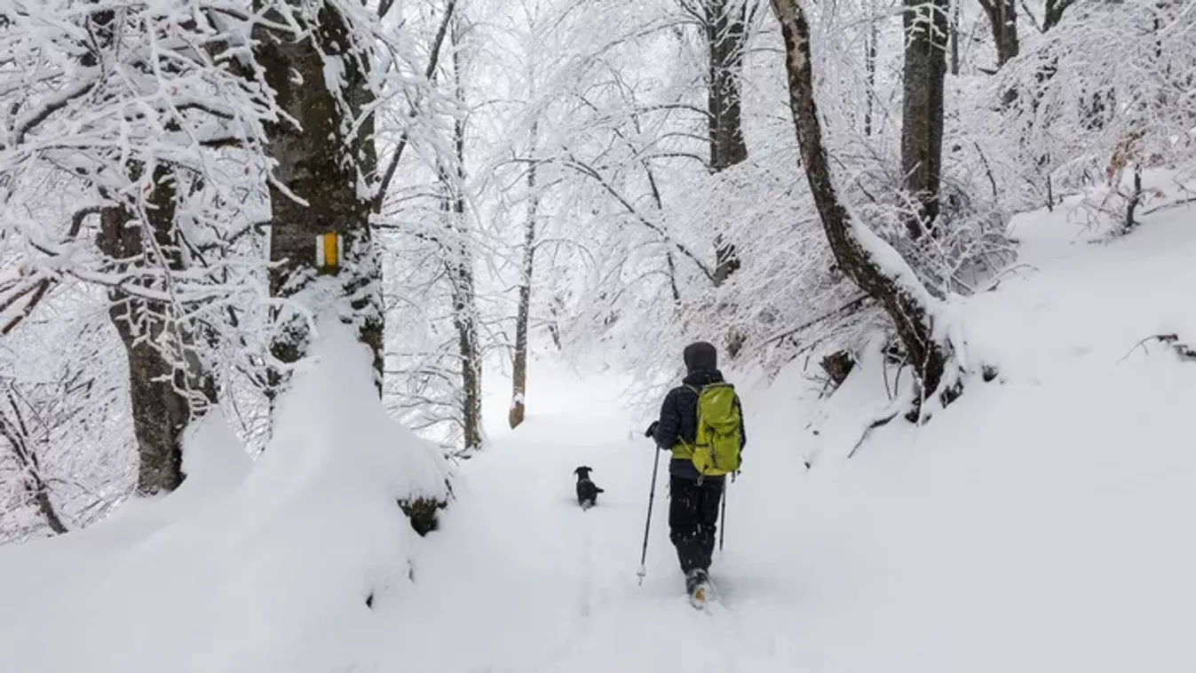 Bakonyi kalandok, amelyet a gyerkőcök is imádnak: hangulatos kirándulóhelyek Várpalota környékén