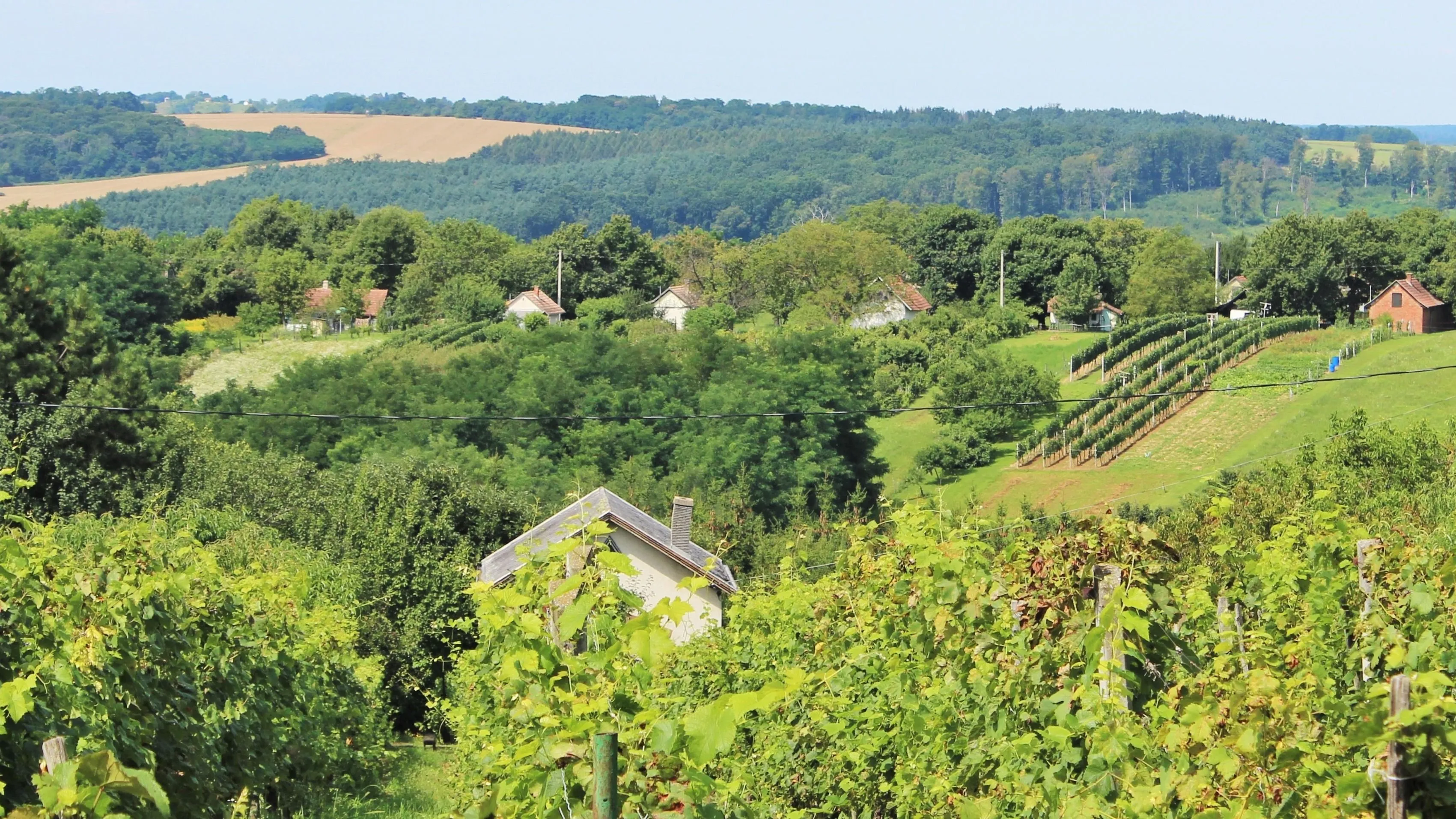 Kvíz kérdést ábrázoló kép