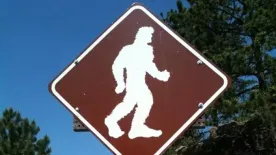 „Egy életen át vadásztam egy valódi szörnyre” - Félig ember, félig majom fenevadat láttak, tényleg létezik?