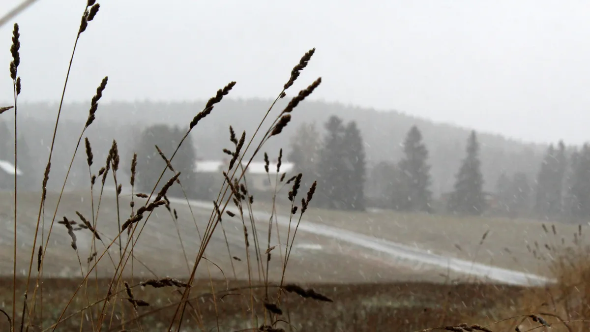 Csapadékos fordulatot vesz az időjárás a hét második felében.