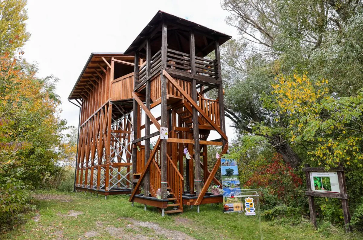 A megújult dunaszegi Morotva-tavi kilátó