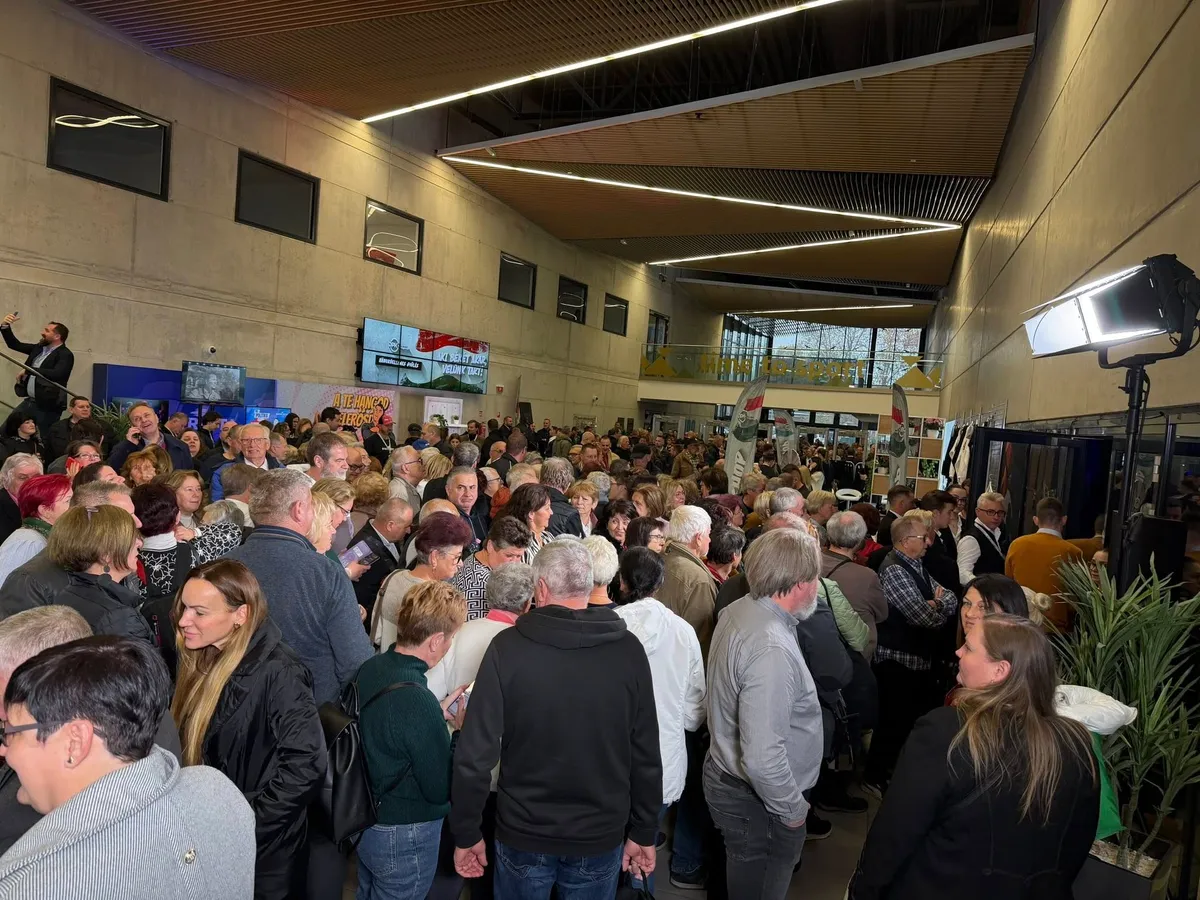 Háborúellenes gyűlés