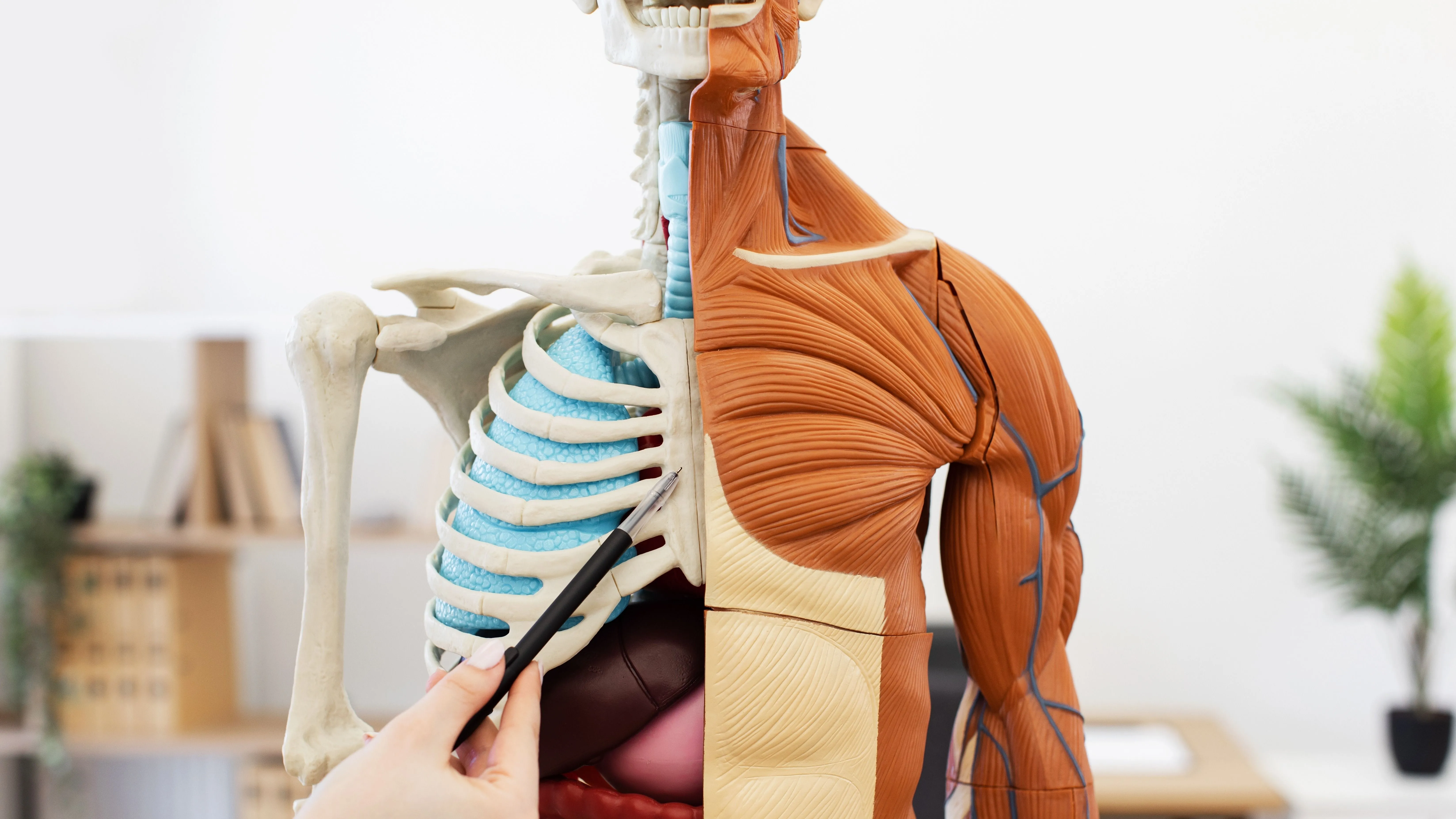 Kvíz kérdést ábrázoló kép