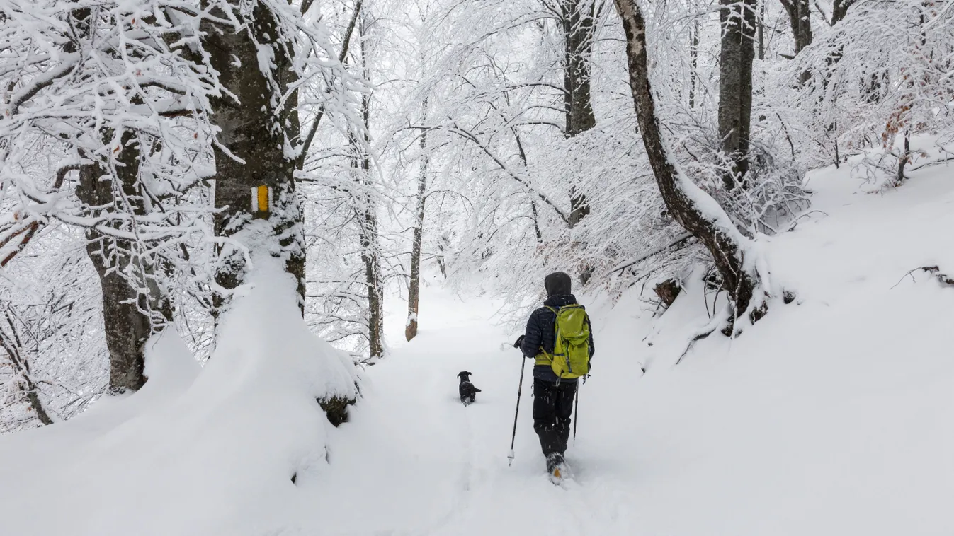 Bakonyi kalandok, amelyet a gyerkőcök is imádnak: hangulatos kirándulóhelyek Várpalota környékén