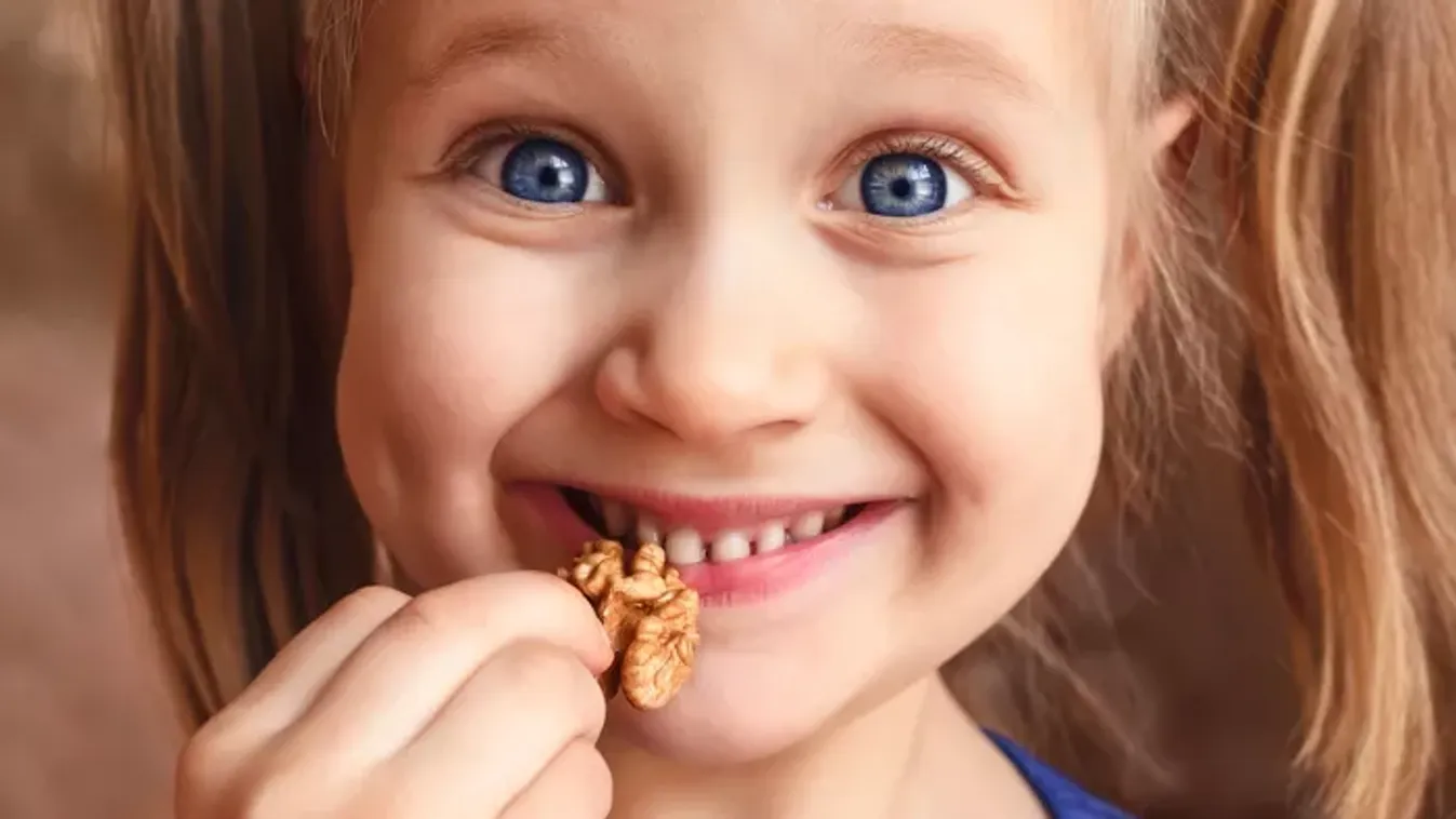 Kis mag nagy erővel: nem is gondolnád, mennyi előnye van a dió rendszeres fogyasztásának