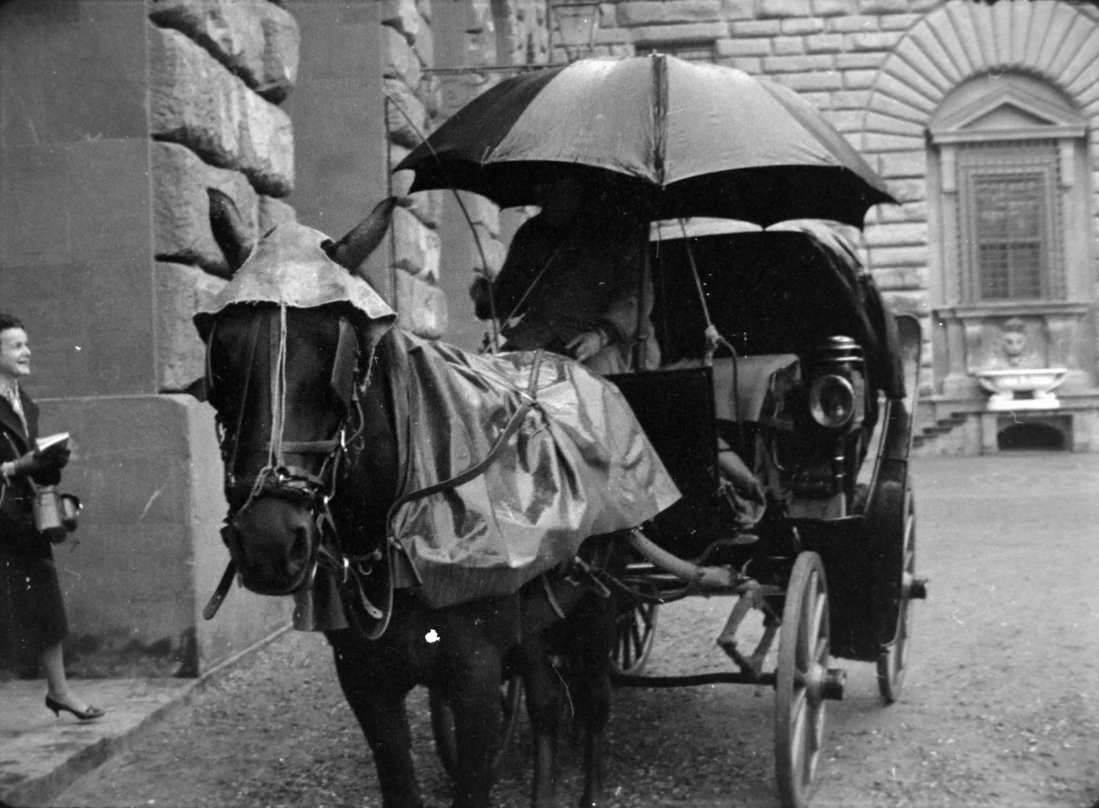 Kvíz kérdést ábrázoló kép