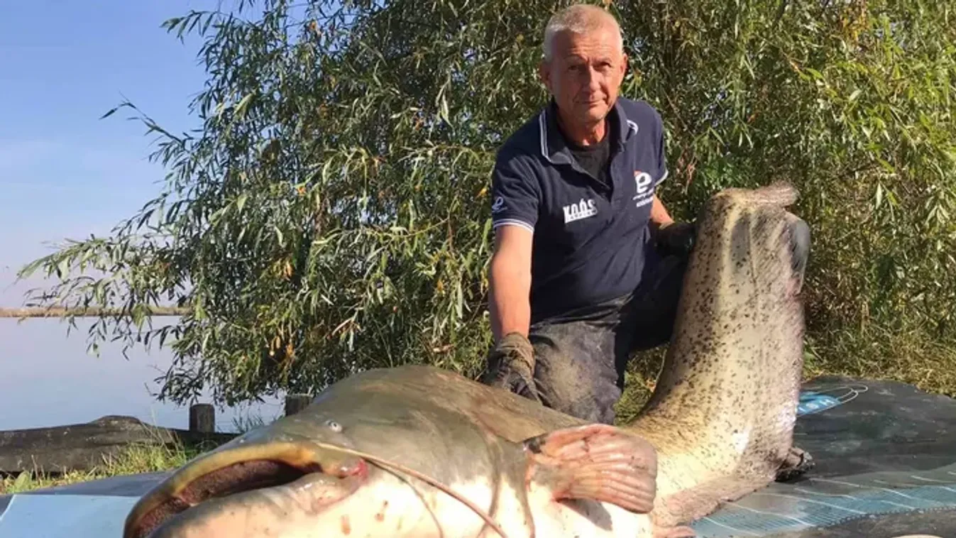 Méretkorlátozást szeretne elérni a világbajnok horgász, Döme Gábor - Koós Ferenc: Túl kevés a harcsa 150 centis felső határa