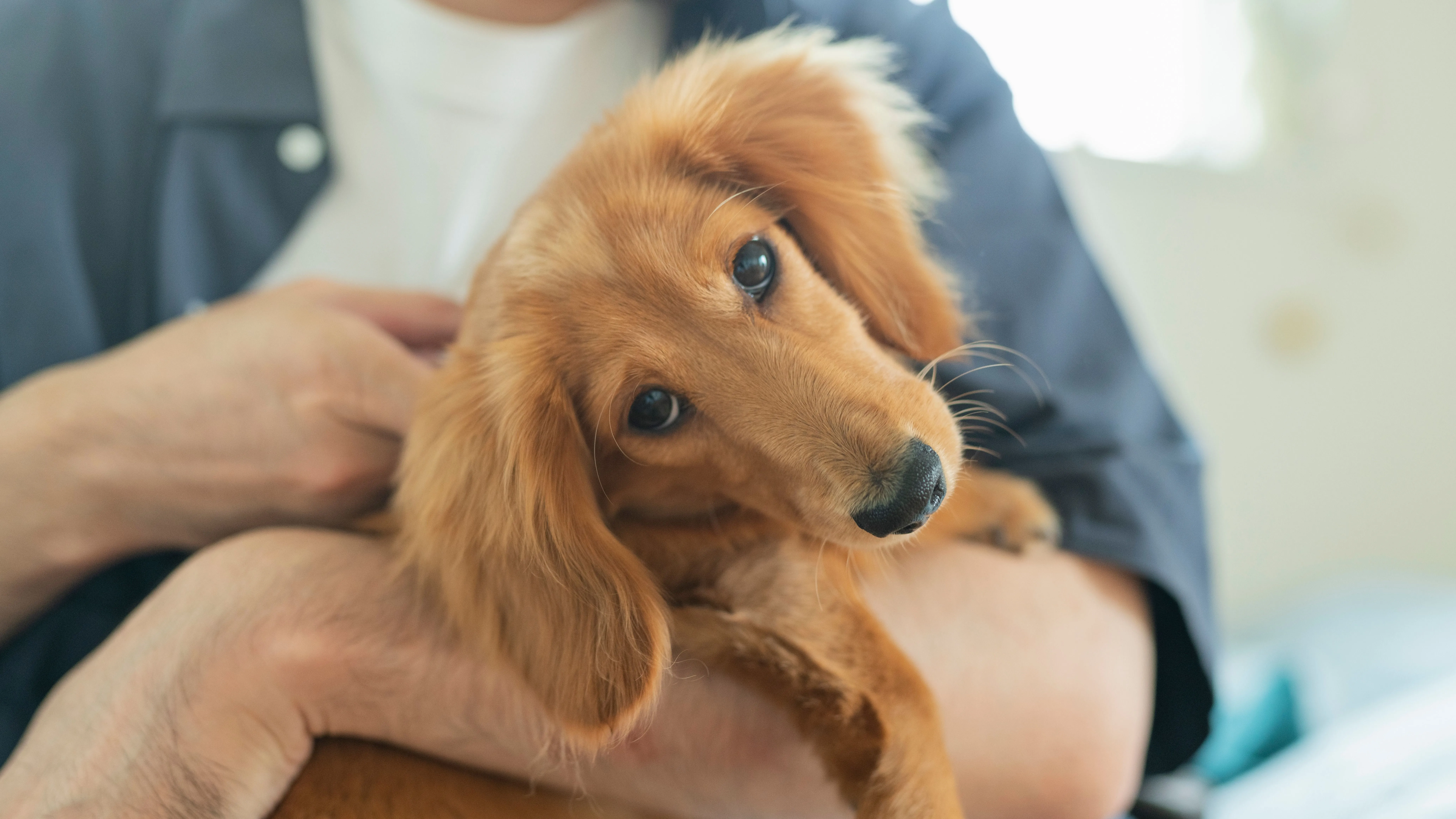 Kvíz kérdést ábrázoló kép