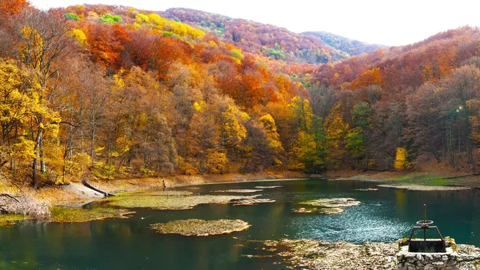 Fedezd fel a Bükk-hegység titkos szépségeit ősszel