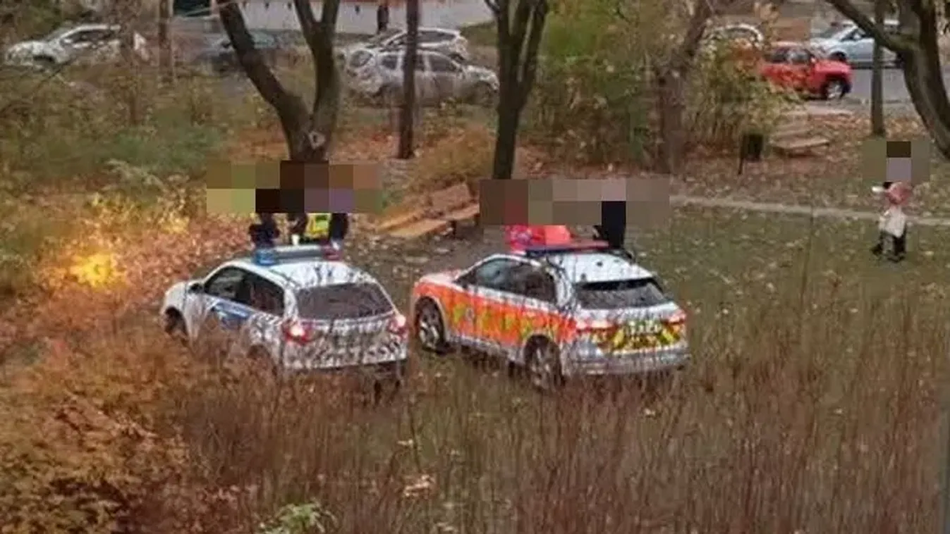 Tragédia Győrben: a bokorban letakarva találtak rá egy holttestre